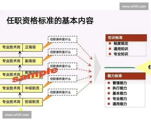 以站位合理为核心推动团队协同优化与高效执行路径探索方案实践指南